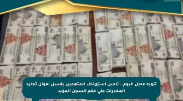 تنويه عاجل اليوم.. تأجيل استئناف المتهمين بغسل أموال تجارة المخدرات على حكم السجن المؤبد